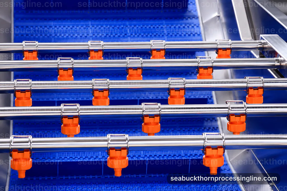 Industrial Sea Buckthorn Juice Line: Process Scope And Configuration Operating Stage industrial sea buckthorn juice line, process scope and configuration: oil tolerant berry separator operating stage