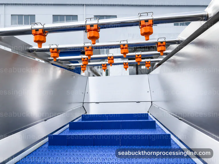 Industrial Sea Buckthorn Juice Line: Plant Integration Interface industrial sea buckthorn juice line, plant integration: oil tolerant berry separator connection view