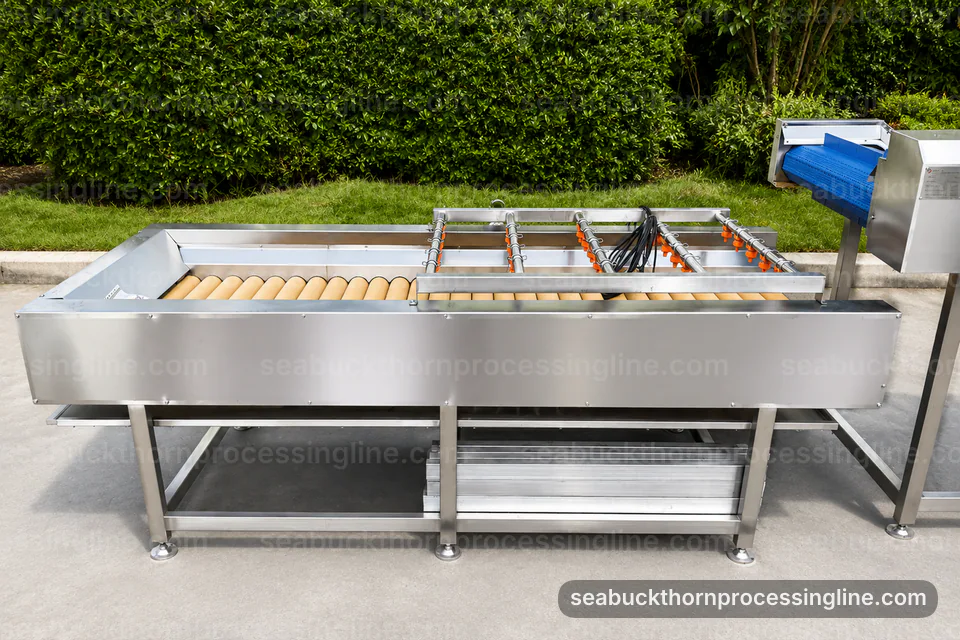 Industrial Sea Buckthorn Juice Line: Feed And Output Handling Operating Stage industrial sea buckthorn juice line, feed and output handling: oil tolerant berry separator operating stage